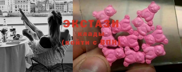 СК Богородицк