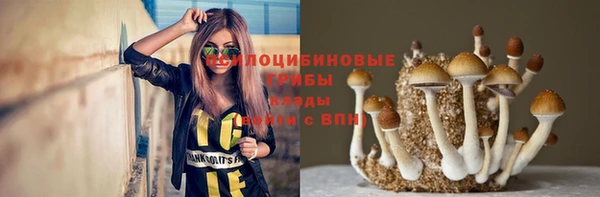 a pvp Новосибирск