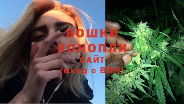 соль ск Кодинск