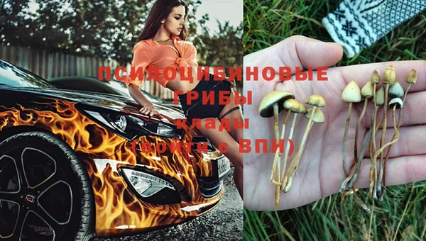 прущий лед Протвино
