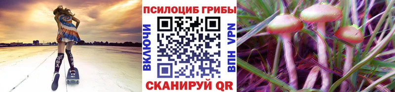 Псилоцибиновые грибы GOLDEN TEACHER Богородицк