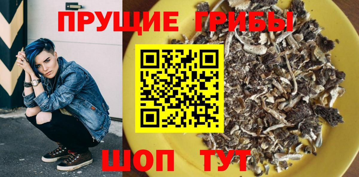 Галлюциногенные грибы прущие грибы  Вход с VPN  Богородицк  Галлюциногенные грибы MAGIC MUSHROOMS 